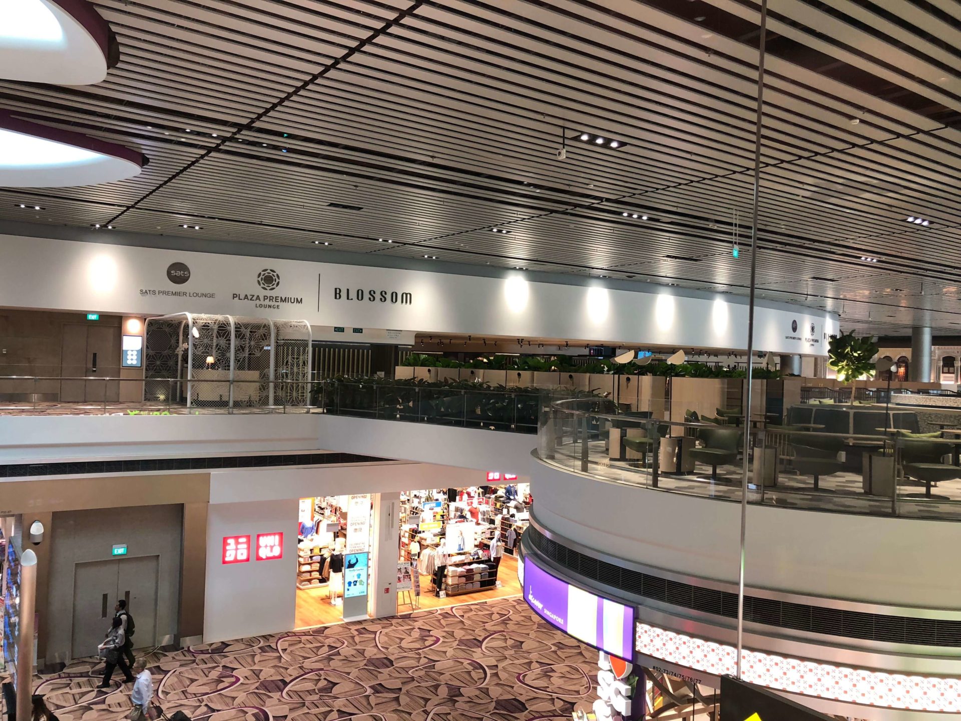 Blossom Lounge Changi Airport Terminal 4 Review The MileLion