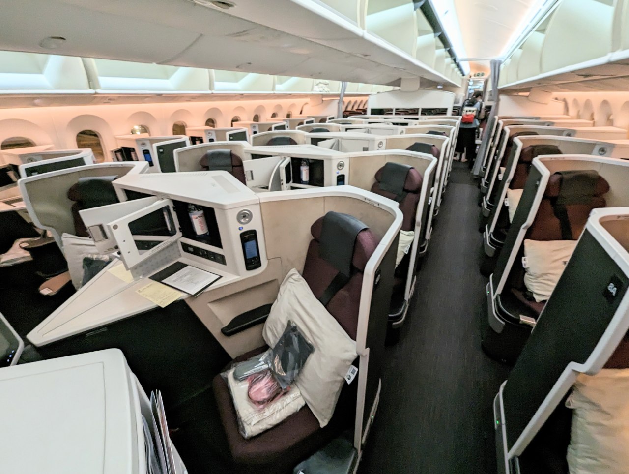 Review: Japan Airlines B787-9 Business Class (SIN-HND) - The MileLion