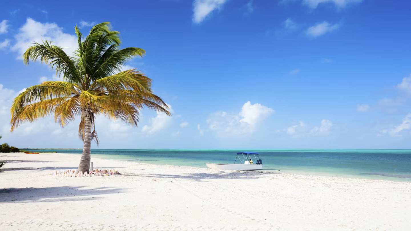Best Credit Cards for Overseas Travel and Vacation Savings - News Directory 3